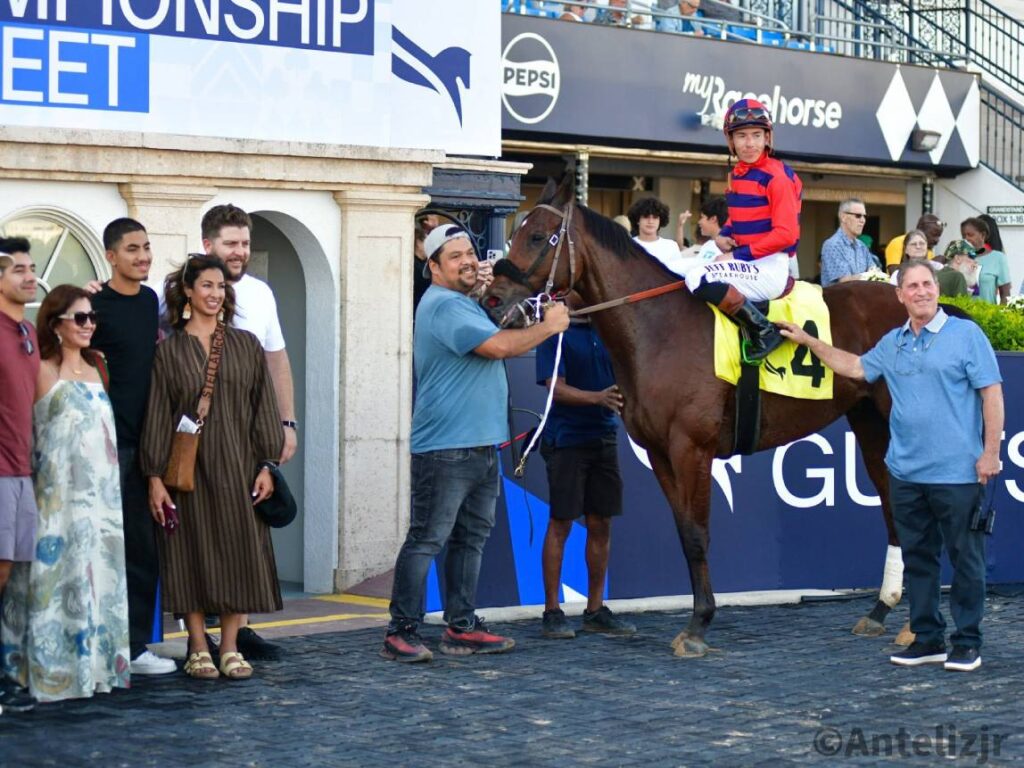 Ron Spatz Horse Trainer